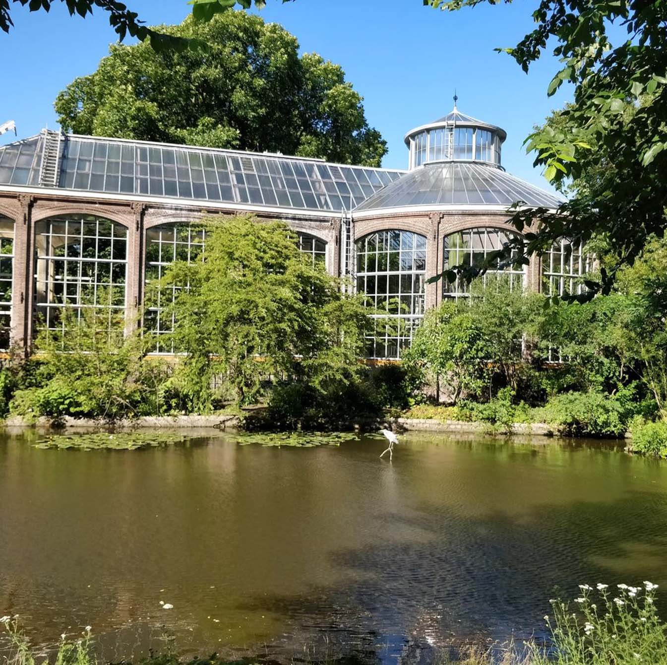 Een Groene Oase: Ontdekking van Amsterdamse Parken